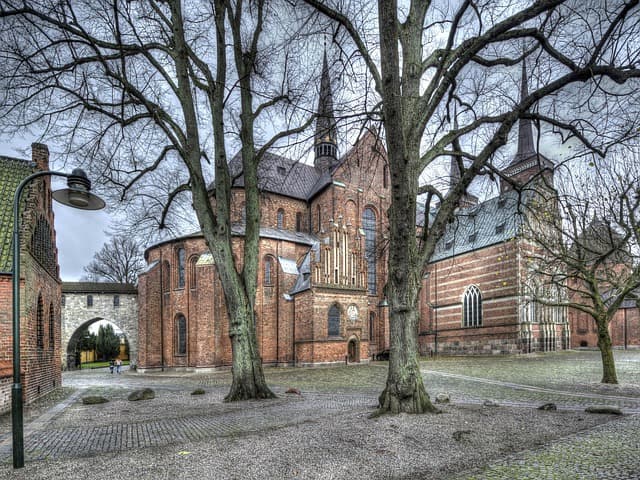 Synstest Roskilde